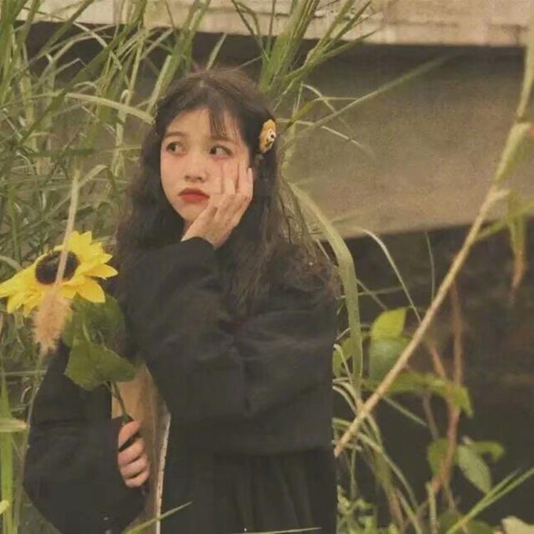 永野芽郁（饰 三条燕） - 猪蜜蜜电视剧大全在线观看11 - 在线看剧